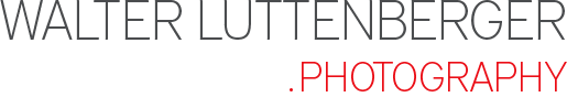 walterluttenberger logo web